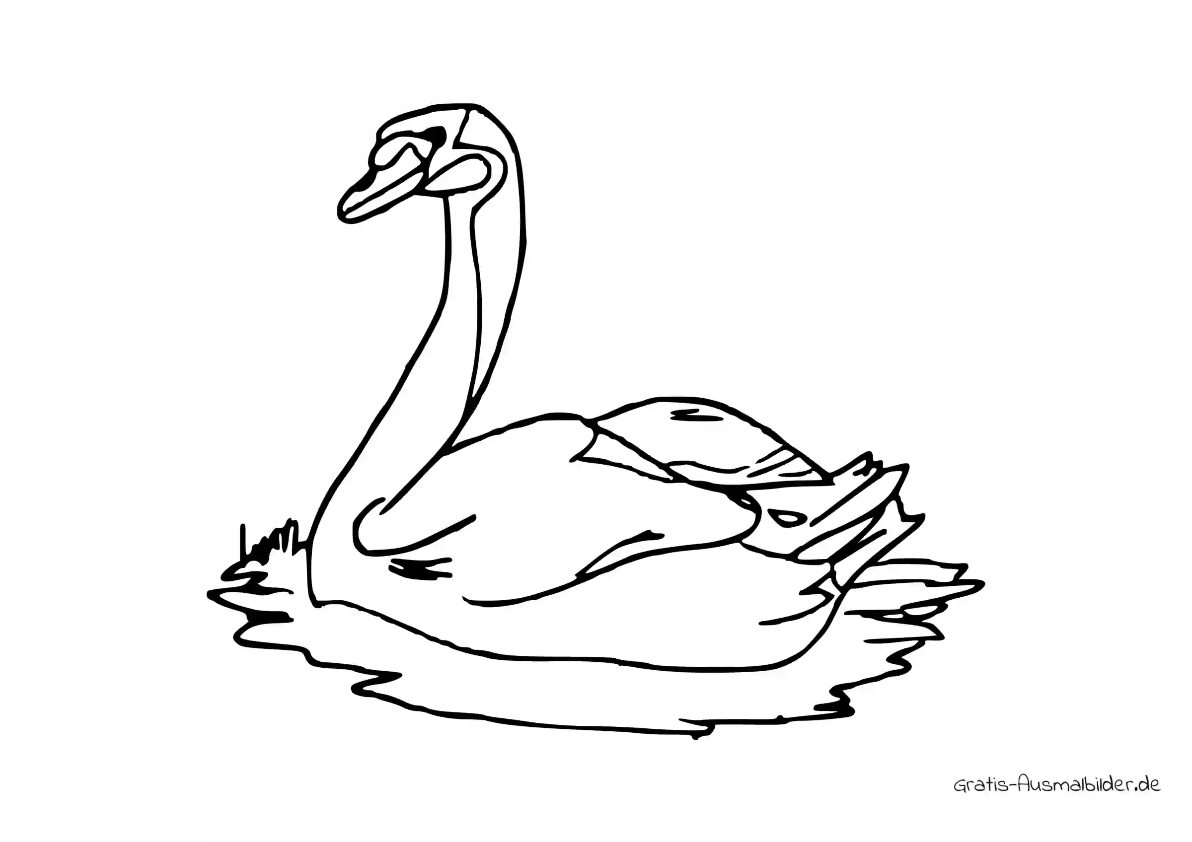 Ausmalbild Schwan im Wasser