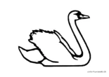 Ausmalbild Schwan schematisch von rechts