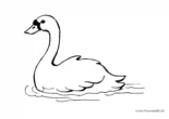 Ausmalbild Schwan schwimmt im Wasser